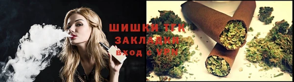 винт Пересвет