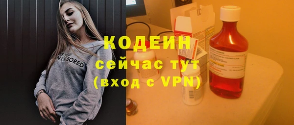 винт Пересвет