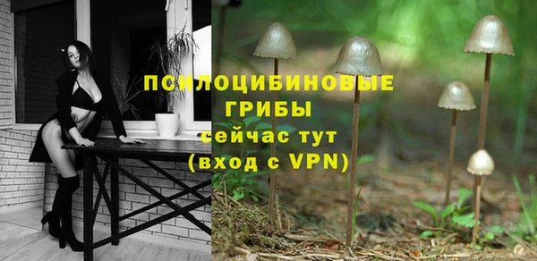 бошки Пестово