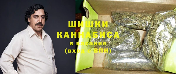 винт Пересвет