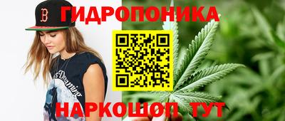 стафф Абинск
