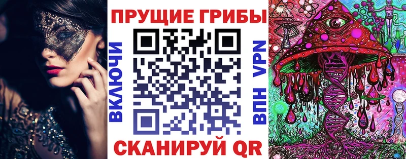 кракен ССЫЛКА  магазин продажи наркотиков  Верхняя Салда  Псилоцибиновые грибы GOLDEN TEACHER 
