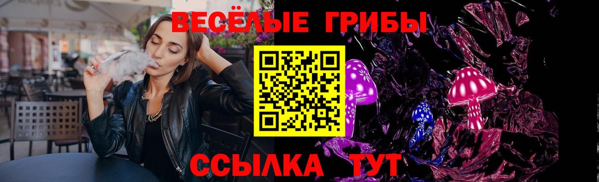 Галлюциногенные грибы Psilocybine cubensis Верхняя Салда